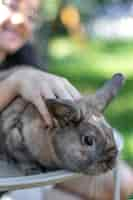 Free photo a girl plays with a domestic rabbit on the street pet concept