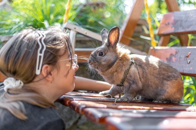 Free Photo a girl plays with a domestic rabbit on the street pet concept