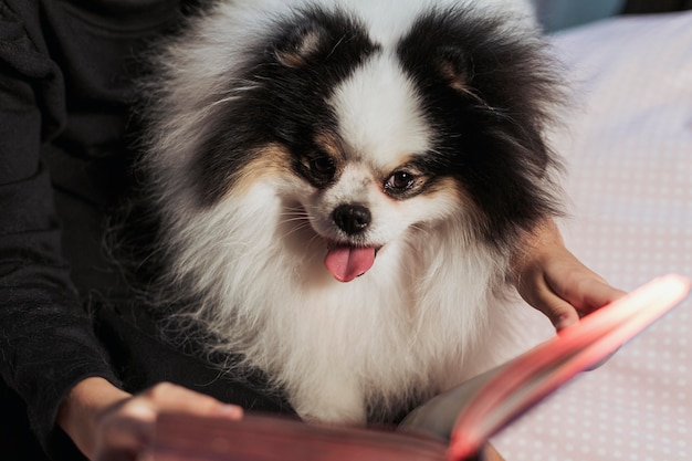 Free photo girl reading to her dog from a book