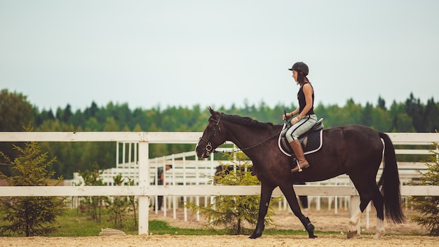 Free photo the girl rides a horse