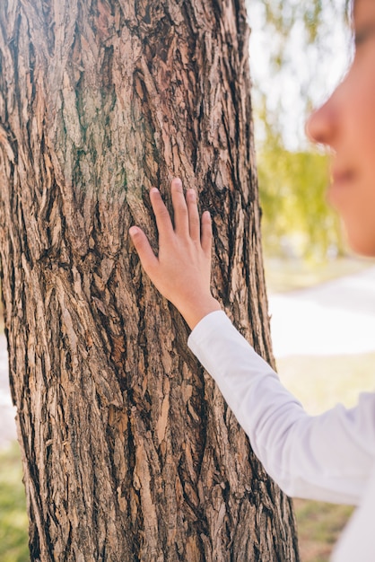 Free photo girl's hand touching the tree bark with hand