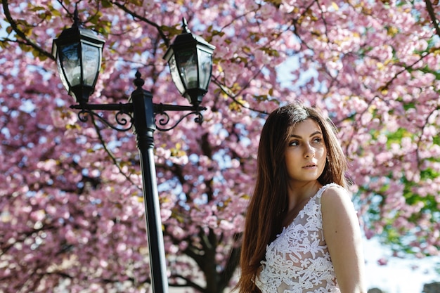 Free photo girl in white dress stands under pink blooming sakura tree in the park