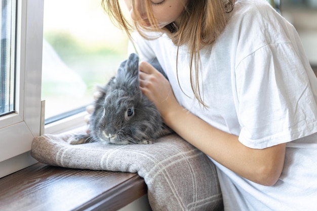 Free Photo a girl with a rabbit a girl strokes a rabbit