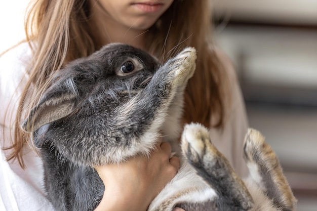 Free photo a girl with a rabbit gray rabbit in hands rabbit closeup