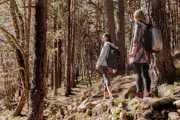 Girls walking outdoors on a sunny day