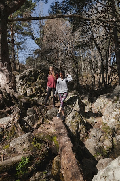 Free photo girls walking through the forest