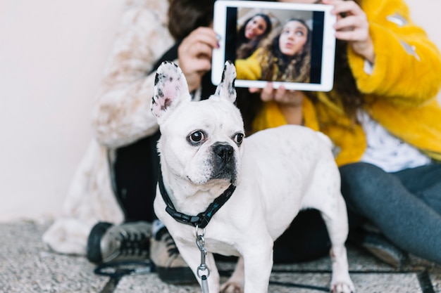 Free Photo girls with dog and tablet