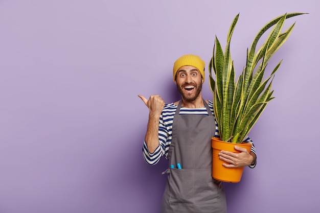 Glad salesman poses in florist shop with pot of green snake plant