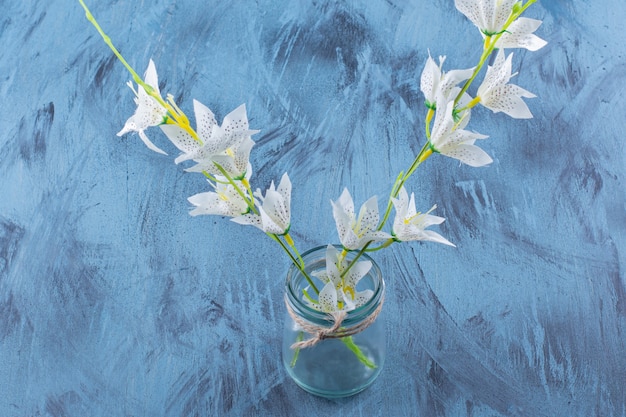 Free Photo glass bottle of beautiful white tiger lily on blue.