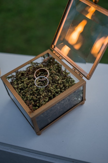 Free photo glass box with wedding rings stands on white table