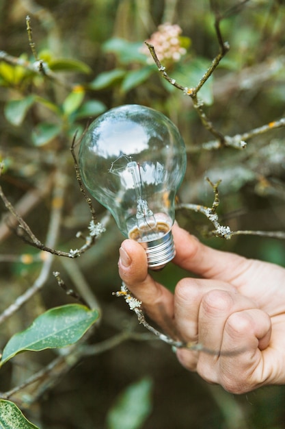 Glass bulb in fingers in summer nature