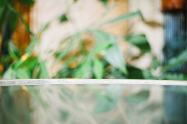 Glass table on blurred background of plants