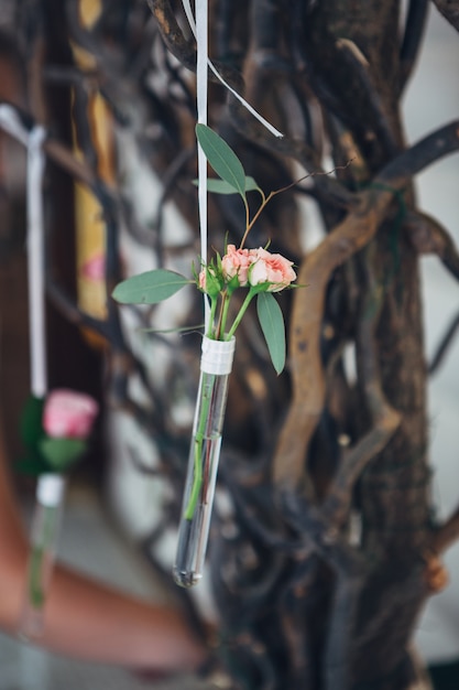 Free photo glass tubes with pink flowers hang on the wall