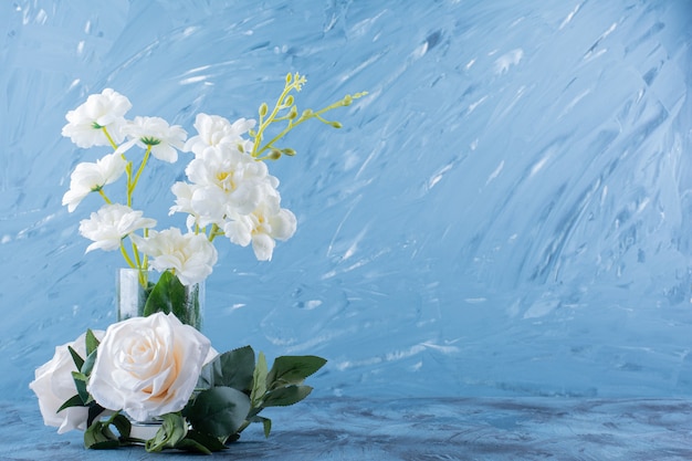 Free photo a glass vase with beautiful fresh white rose flowers on blue.