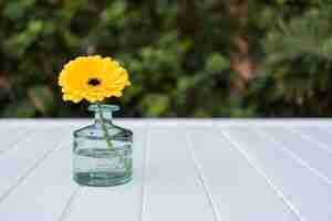 Free photo glass vase with yellow daisy