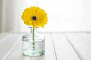 Free photo glass vase with yellow daisy