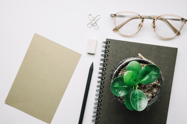 Free Photo glasses and plant near notebook and paper