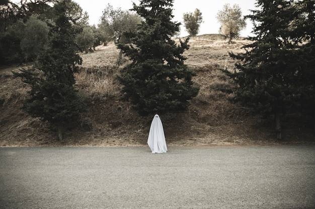 Free Photo gloomy ghost standing on countryside road 