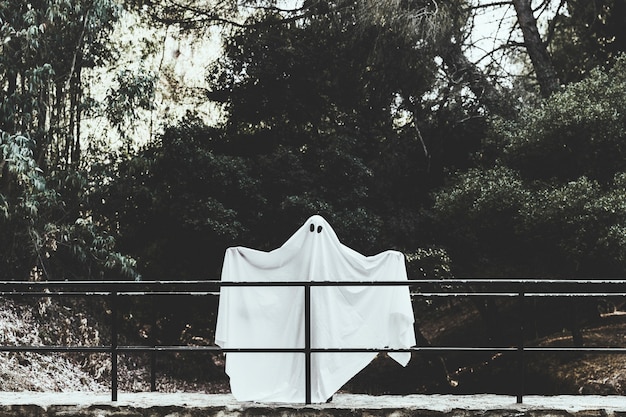 Free photo gloomy ghost standing on overpass with spreading hands in forest