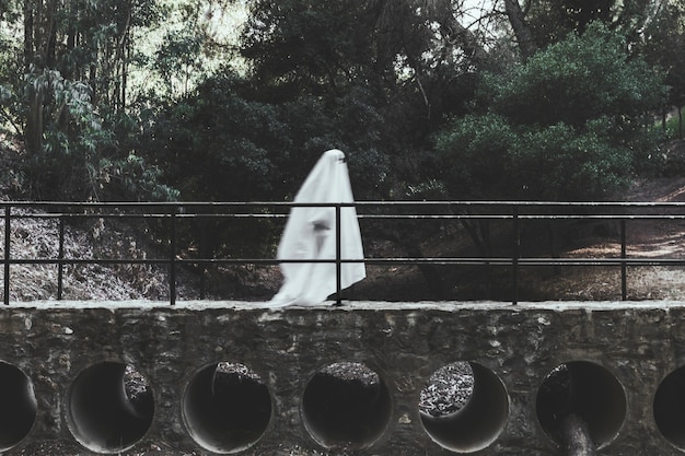 Gloomy ghost walking on overpass in forest