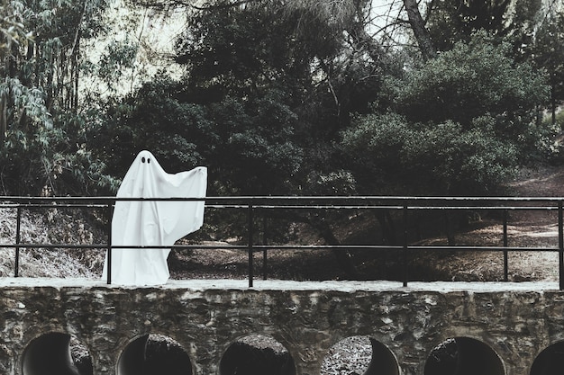 Free Photo gloomy ghost with upping hand standing on overpass in forest