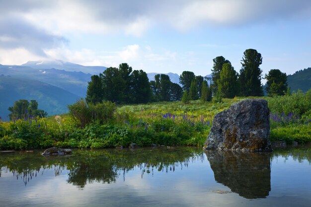 Free Photo gloomy landscape