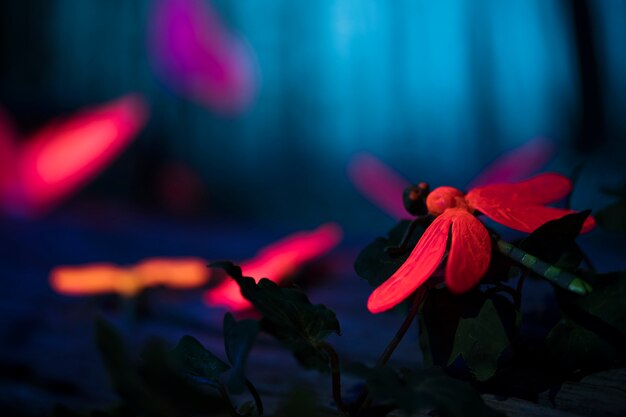 Glowing insects in the night forest