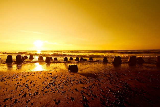 Free photo gold sunset over summer sea.