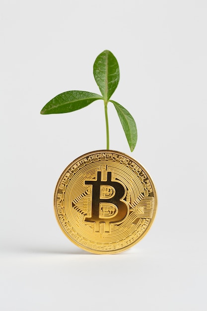 Golden bitcoin with plant behind it