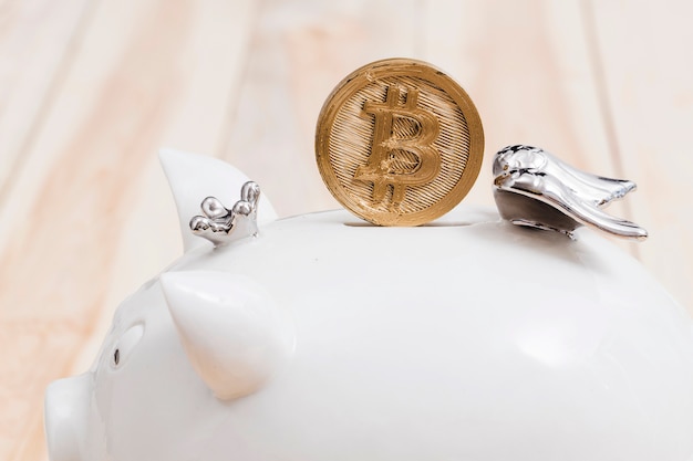 Free photo golden bitcoins over the slot of white piggybank