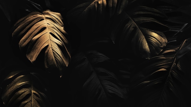 Golden monstera leaves background design resource