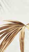 Free photo golden palm leaves background design resource