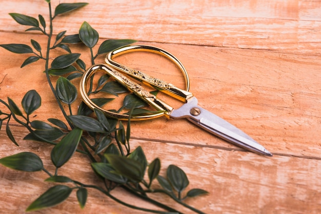 Free Photo golden scissors with green leaves