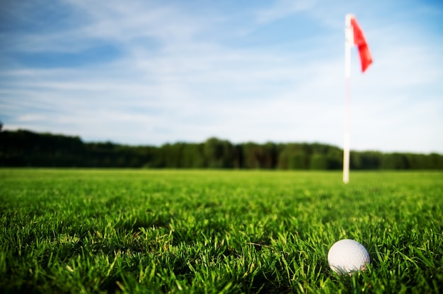 Free photo golf ball in a grass field