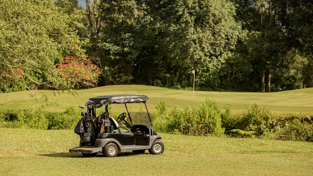 Golf cart parked. Bali. Indonesia