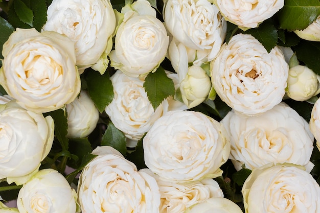 Gorgeous arrangement of flowers background