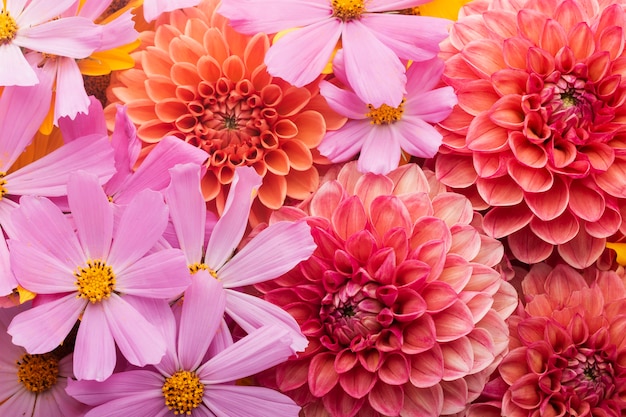 Gorgeous arrangement of flowers wallpaper