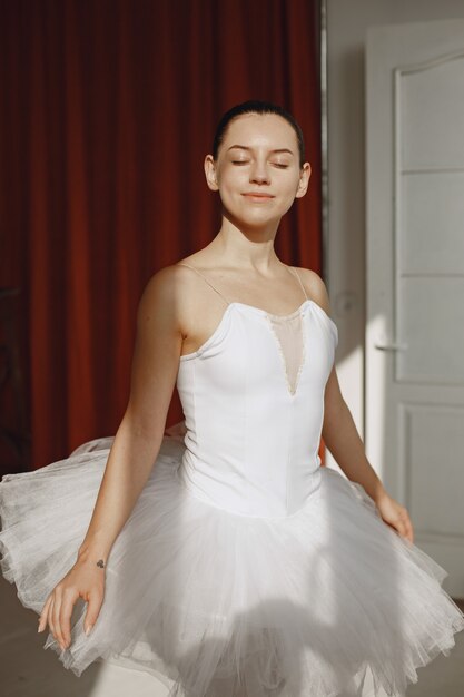 Gorgeous ballet dancer. Ballerina in pointe. Girl in a ballet studio.