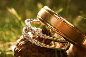 Free photo gorgeous wedding rings sparklie on acorn