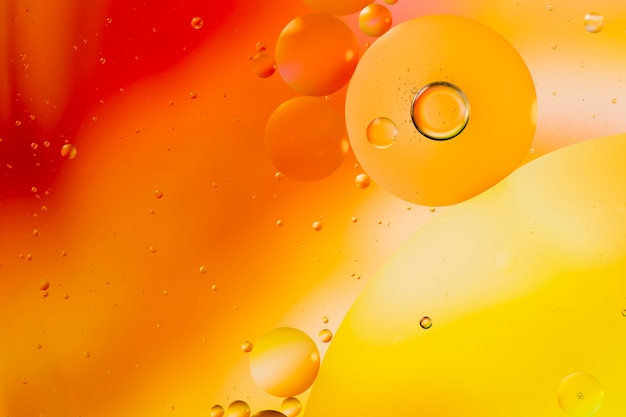 Free Photo gradient colour abstraction accompanied by transparent fluid bubbles