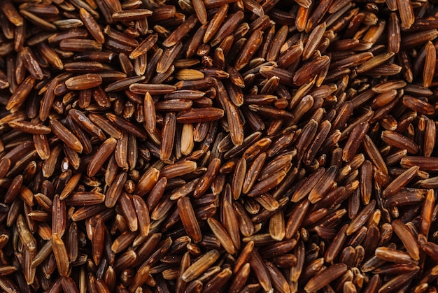 Free photo grains of brown rice