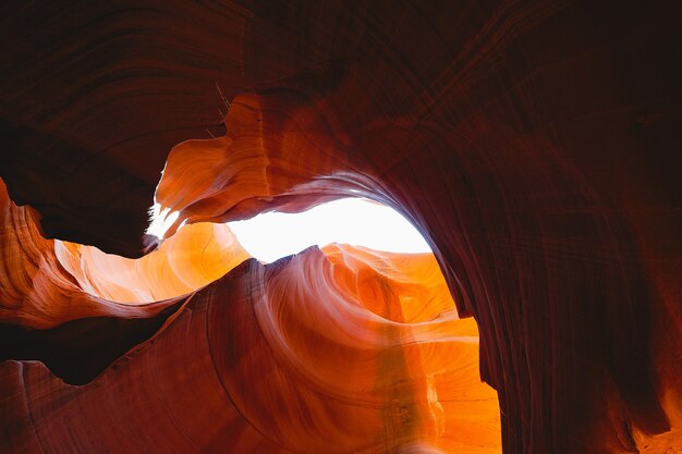 Grand Canyon nature footage in Arizona USA