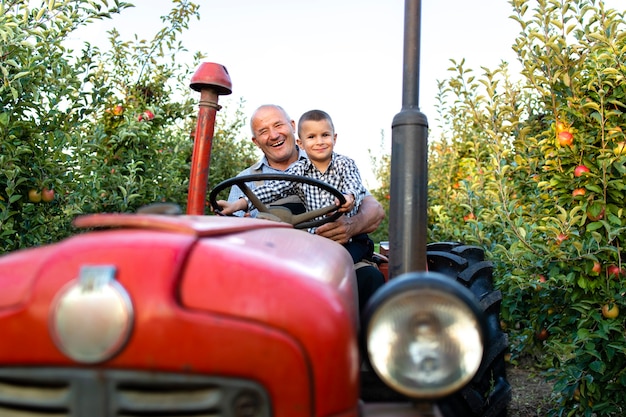 Free photo grandfather and grandson enjoying driving retro styled tractor machine together through apple fruit orchard