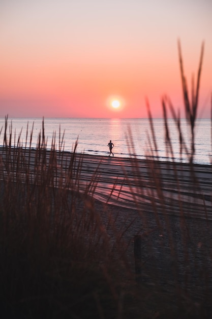 Free Photo grass on a beach surrounded by the sea during a beautiful sunset in jesolo italy