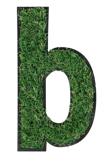 Free photo grass letter b alphabet d design isolated transparent background