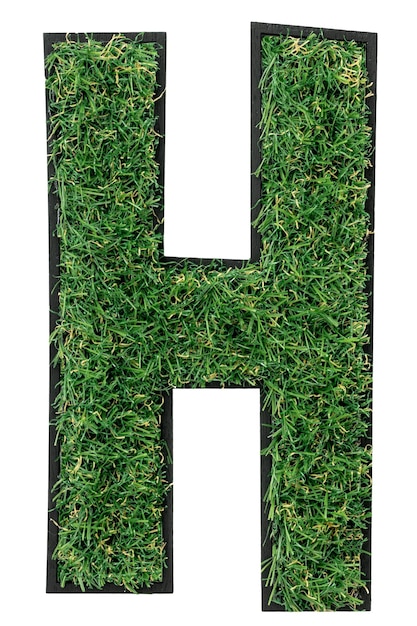 Free Photo grass letter h alphabet d design isolated transparent background