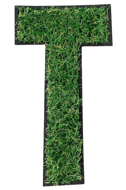 Free photo grass letter t alphabet 3d design isolated transparent background