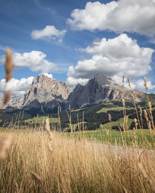 Free photo grass and the plattkofel mountain in compatsch italy