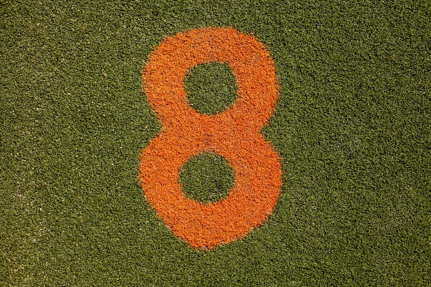 Free photo grass texture with number eight