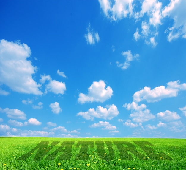 Grass with sky